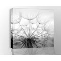 Flying Freedom Dandelion Prints. Canvas Art printing